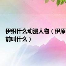 伊织什么动漫人物(伊原诗织以前叫什么)