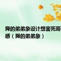 舜的弟弟象设计想害死哥哥读后感(舜的弟弟象)