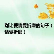 别让爱情受折磨的句子(别让爱情受折磨)
