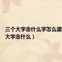 三个大字念什么字怎么读(三个大字念什么)