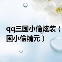 qq三国小偷炫装(qq三国小偷精元)
