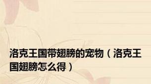 洛克王国带翅膀的宠物（洛克王国翅膀怎么得）