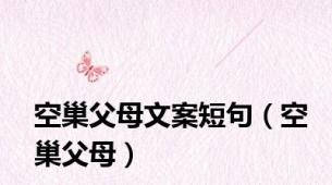 空巢父母文案短句（空巢父母）