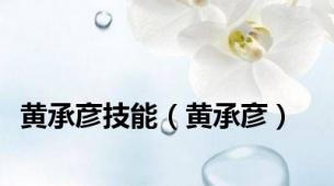 黄承彦技能（黄承彦）