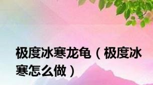 极度冰寒龙龟（极度冰寒怎么做）
