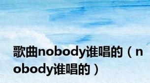 歌曲nobody谁唱的（nobody谁唱的）
