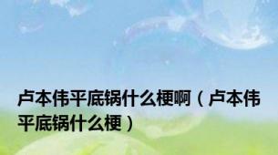 卢本伟平底锅什么梗啊（卢本伟平底锅什么梗）