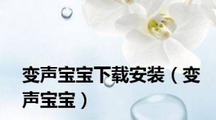 变声宝宝下载安装（变声宝宝）