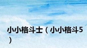 小小格斗士（小小格斗5）