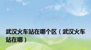 武汉火车站在哪个区（武汉火车站在哪）