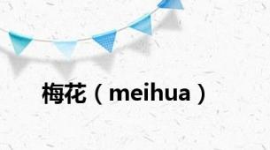 梅花（meihua）