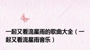 一起又看流星雨的歌曲大全（一起又看流星雨音乐）