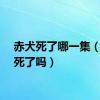赤犬死了哪一集（赤犬死了吗）