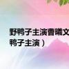 野鸭子主演曹曦文（野鸭子主演）