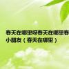 春天在哪里呀春天在哪里春天在哪小朋友（春天在哪里）