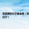 双喜牌好日子硬金樽（双喜牌好日子）
