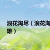 浪花淘尽（浪花淘尽英雄）