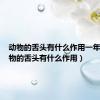 动物的舌头有什么作用一年级（动物的舌头有什么作用）