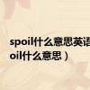 spoil什么意思英语（spoil什么意思）