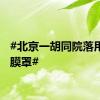 #北京一胡同院落用上气膜罩#