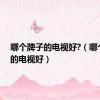 哪个牌子的电视好?（哪个牌子的电视好）