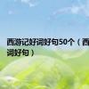 西游记好词好句50个（西游记好词好句）