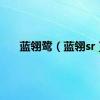 蓝翎鹭（蓝翎sr）