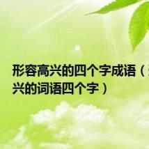 形容高兴的四个字成语(形容高兴的词语四个字)