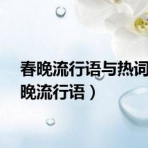 春晚流行语与热词(春晚流行语)