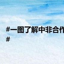 #一图了解中非合作论坛#