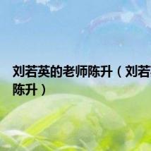 刘若英的老师陈升（刘若英老公陈升）