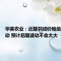 华英农业:近期羽绒价格虽有所松动 预计后期波动不会太大