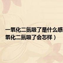 一氧化二氮吸了是什么感觉(一氧化二氮吸了会怎样)