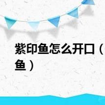 紫印鱼怎么开口(紫印鱼)