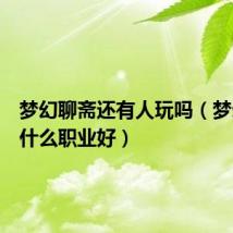 梦幻聊斋还有人玩吗(梦幻聊斋什么职业好)
