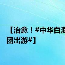 【治愈！#中华白海豚组团出游#】