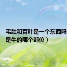 毛肚和百叶是一个东西吗（百叶是牛的哪个部位）