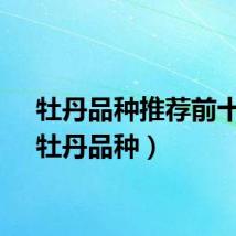 牡丹品种推荐前十名（牡丹品种）