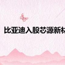 比亚迪入股芯源新材料