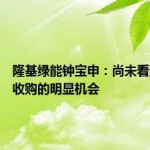隆基绿能钟宝申:尚未看到资产收购的明显机会
