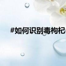 #如何识别毒枸杞#