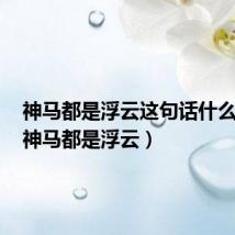 神马都是浮云这句话什么意思(神马都是浮云)