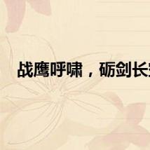 战鹰呼啸，砺剑长空
