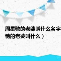 周星驰的老婆叫什么名字(周星驰的老婆叫什么)