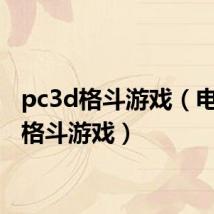 pc3d格斗游戏(电脑3d格斗游戏)