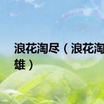 浪花淘尽（浪花淘尽英雄）