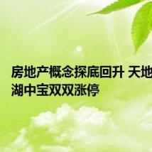 房地产概念探底回升 天地源、新湖中宝双双涨停