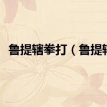 鲁提辖拳打（鲁提辖）