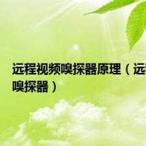 远程视频嗅探器原理(远程视频嗅探器)