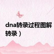 dna转录过程图解(dna转录)